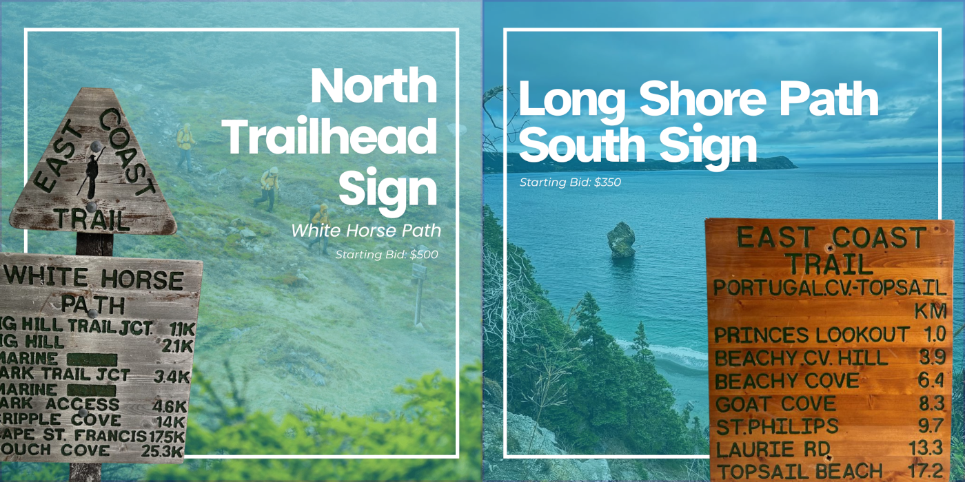 Social media posts showcasing auction items