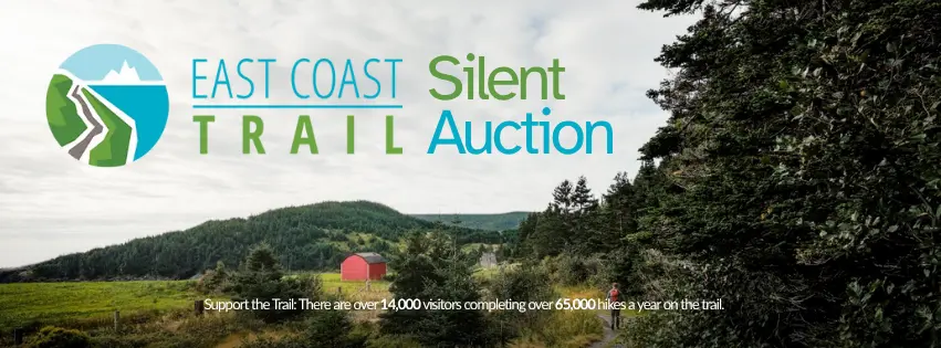 Example affordable graphic design for nonprofits