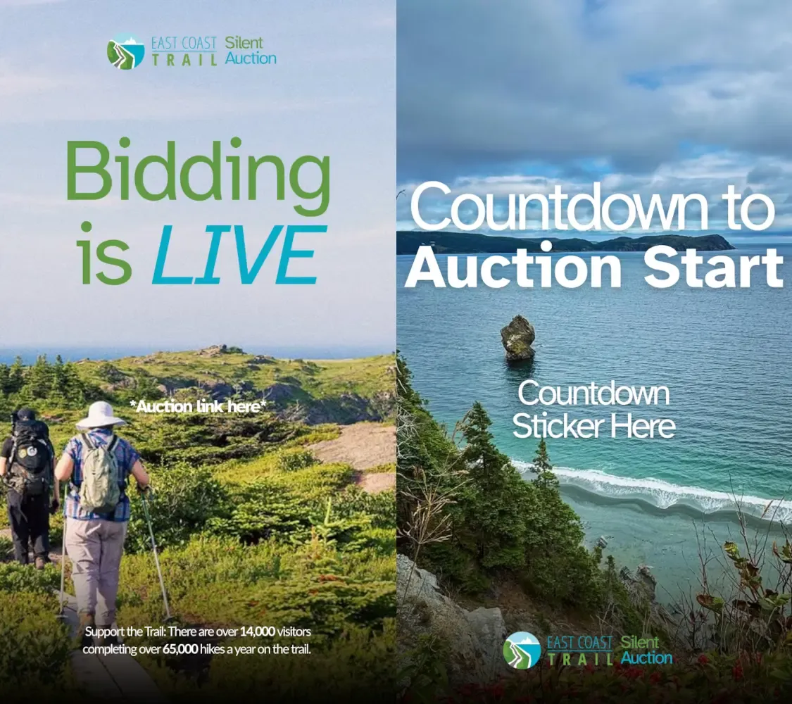 Instagram reels for fast charity auction promotion